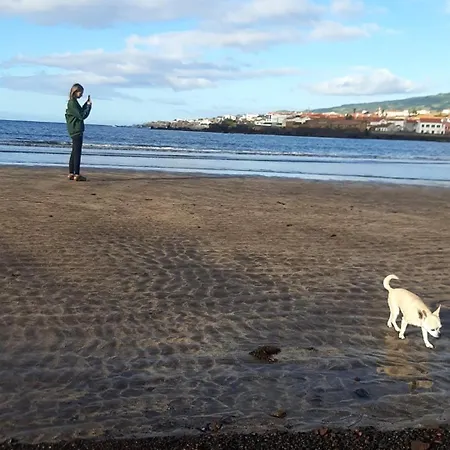 Cantinho Da Ribeira Castelo Branco (Faial)