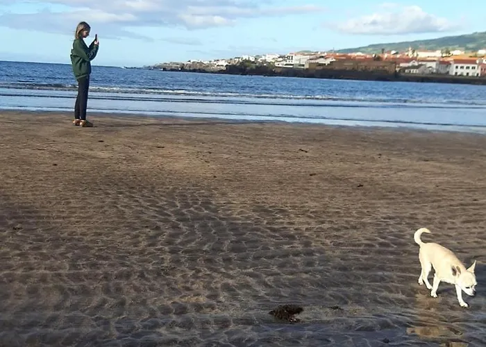 Cantinho Da Ribeira Castelo Branco (Faial)